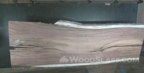 Parota Wood Slab #UB1-NZQ-1ZW6