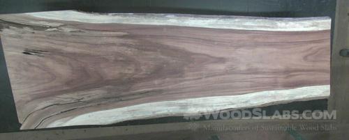 Parota Wood Slab #XPS-26V-GUUT