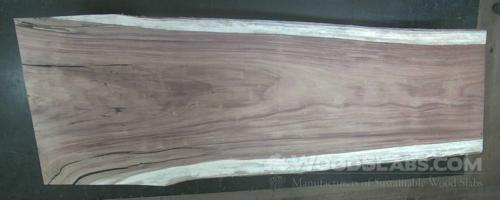 Parota Wood Slab #5H5-11R-MG98