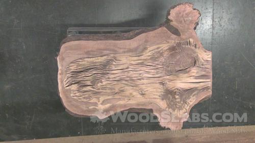 Claro Walnut Wood Slab #SVO-DP6-6R2R