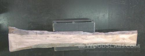 Sycamore Wood Slab #0NS-WUG-76RQ