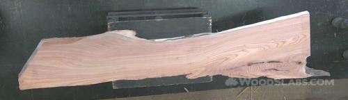 Mulberry Wood Slab #XGM-UNU-CIM8