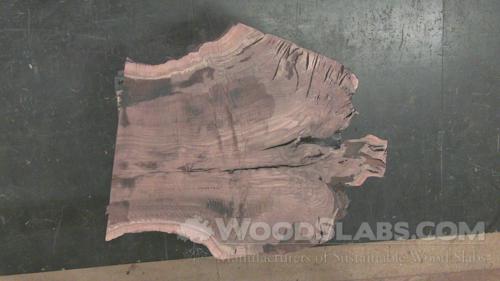 Claro Walnut Wood Slab #GP4-Z1A-X48J