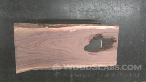 Black Oak | live edge wood | reclaimed wood slabs | kiln dried wood for  sale | trusted wood suppliers | woodworking source