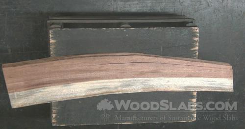 Parota Wood Slab #CQ9-CX6-R5TD
