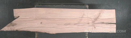 White Ash Wood Slab #AXC-VYX-N57N