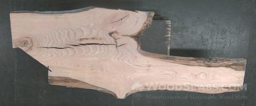 White Ash Wood Slab #EUQ-SRK-UWM7