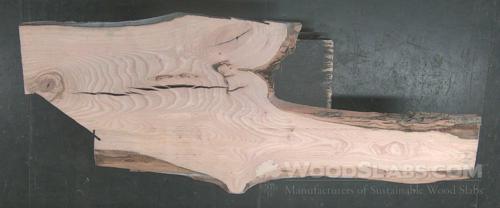 White Ash Wood Slab #EUQ-SRK-UWM7
