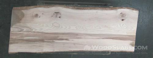 Mockernut Hickory Wood Slab #Z6Q-4W4-EDK4