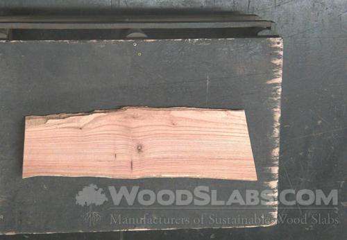 Miscellaneous Wood Slab #MNI-XR1-EGSP
