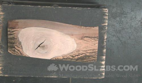 White Ash Wood Slab #YDB-0IY-CL6L