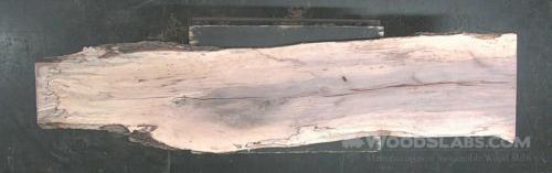 Hickory Wood Slab #JWH-VTD-FVUU