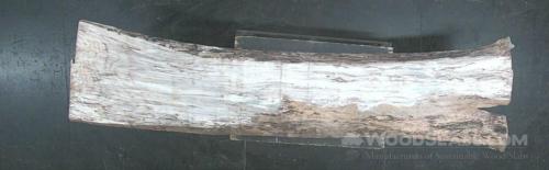 hackberry Wood Slab #MUA-FSH-NT12