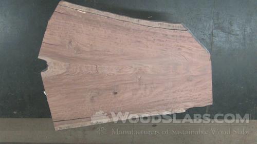 Eucalyptus Wood Slab #BPA-YTL-HZDC