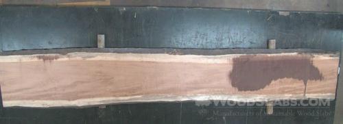 Tigerwood Wood Slab #B8V-V0F-4T33