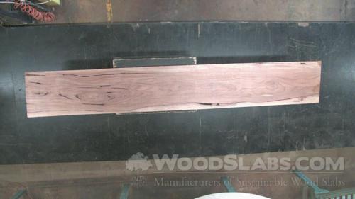 Pecky Bolivian Walnut Wood Slab #0QL-PHP-HQW4
