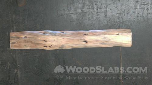 Norfolk Island Pine Wood Slab #XIA-50T-1FER