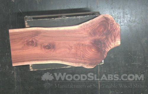 Walnut Wood Slab #T0O-TLC-XRQU