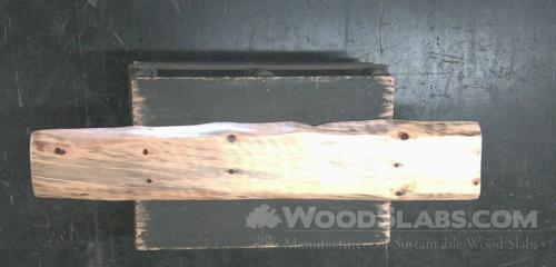 norfolk island pine Wood Slab #1V8-330-B0TY