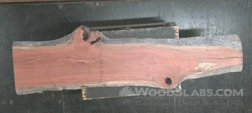 Eucalyptus Wood Slab #VF8-HYJ-1NLF