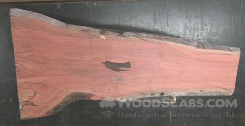 Eucalyptus Wood Slab #D7B-0NP-ESU9