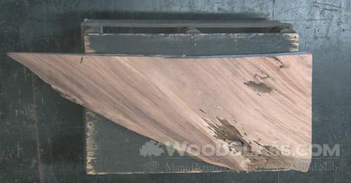 Monkey Pod Wood Slab #WA3-VTE-51H8