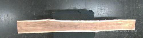 Latin Teak Wood Slab #D54-ZH9-HN92