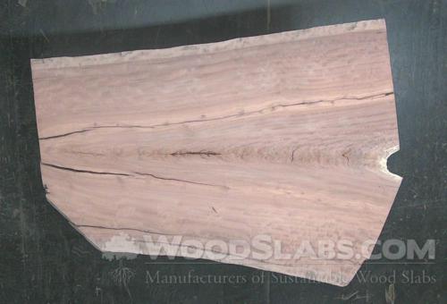 Claro Walnut Wood Slab #D9F-WD5-SAUQ