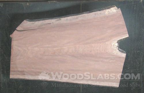 Claro Walnut Wood Slab #QPC-3Y3-K2WZ