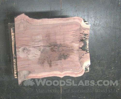 Claro Walnut Wood Slab #ZIR-4J7-PCU2
