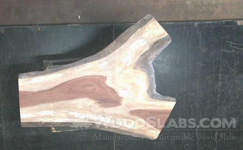 Monkey Pod Wood Slab #IA6-DWE-492S
