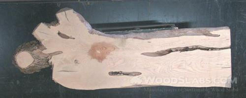 White Ash Wood Slab #ZA9-EDC-MVVH