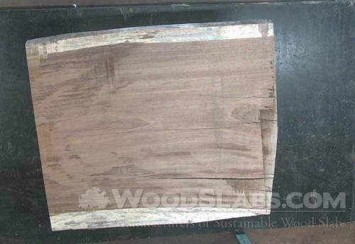 Monkey Pod Wood Slab #BW6-AZH-QT5U