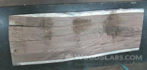 Parota Wood Slab #0PC-XZG-3EU4