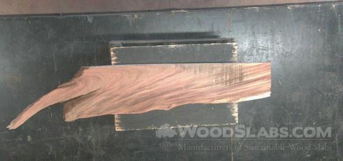 Parota Wood Slab #GS3-MAE-8ZP0