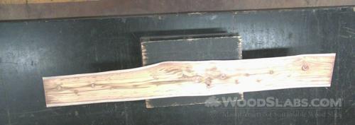 Latin Teak Wood Slab #B1K-IZ6-617N