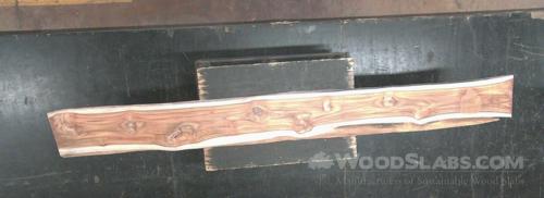 Latin Teak Wood Slab #HAS-V1C-D5E3