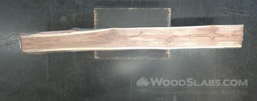 Latin Teak Wood Slab #0J3-LJ8-86WF