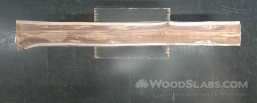 Latin Teak Wood Slab #D3T-UHM-WW4X
