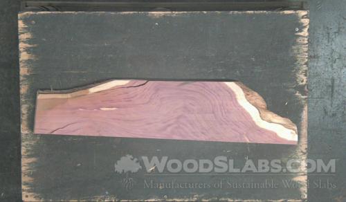 Aromatic Cedar Wood Slab #V2A-8PK-L5C8