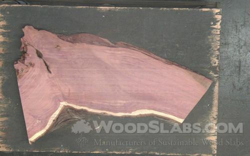 Aromatic Cedar Wood Slab #1IB-PZ5-YXYN