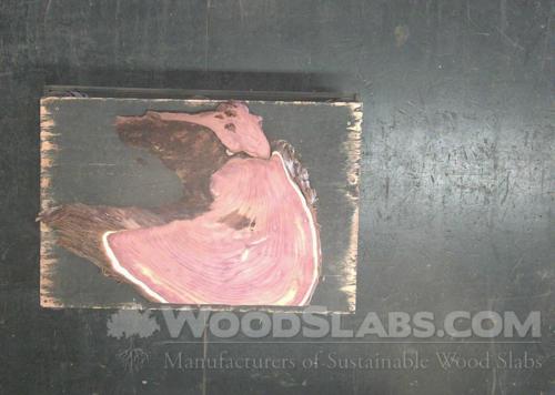 Aromatic Cedar Wood Slab #N2P-LN8-8BVH