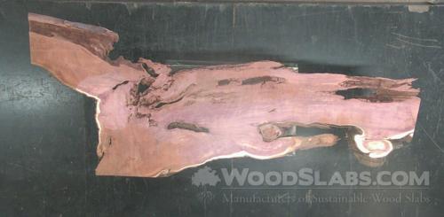 Aromatic Cedar Wood Slab #FGU-CH4-14IZ