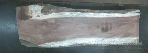 Parota Wood Slab #27K-GK1-JQ3D