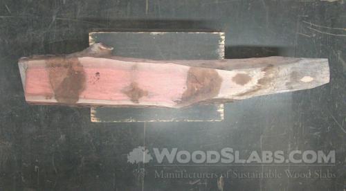 Eucalyptus Wood Slab #JWT-1E9-3RHQ