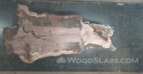 Claro Walnut Wood Slab #I4U-34G-CXLL