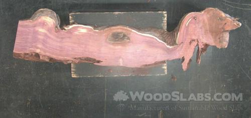 Aromatic Cedar Wood Slab #3SF-MJW-ZZTU