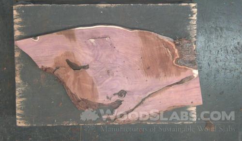 Aromatic Cedar Wood Slab #S94-CR6-IG73