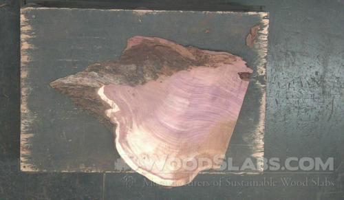 Aromatic Cedar Wood Slab #JN3-Q73-2Z49