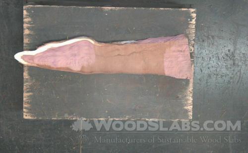 Aromatic Cedar Wood Slab #H0J-6B9-VUY2